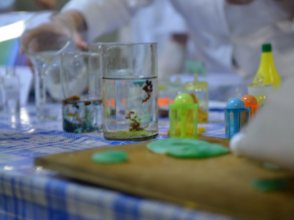 DSC_6779_новый размер